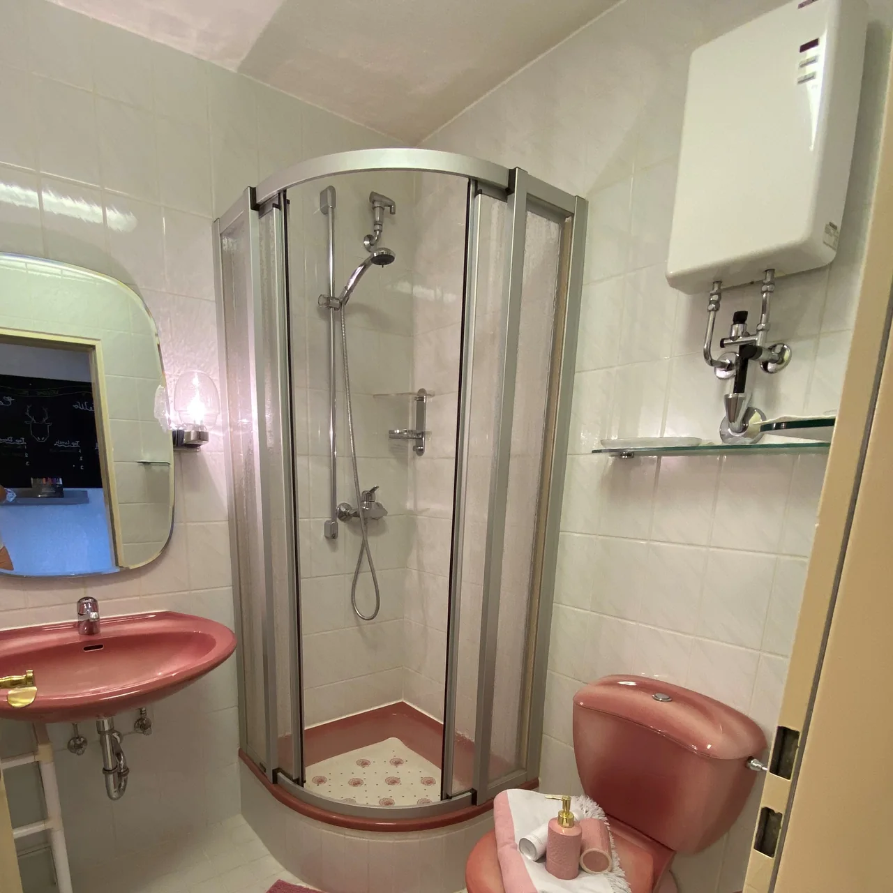 Duschbad mit Dusche und Waschbecken in der FeWo Capreolus
